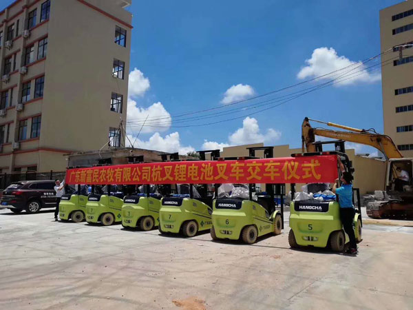 廣東新富民農(nóng)牧有限公司采購(gòu)杭州叉車案例-電動(dòng)鋰電池叉車